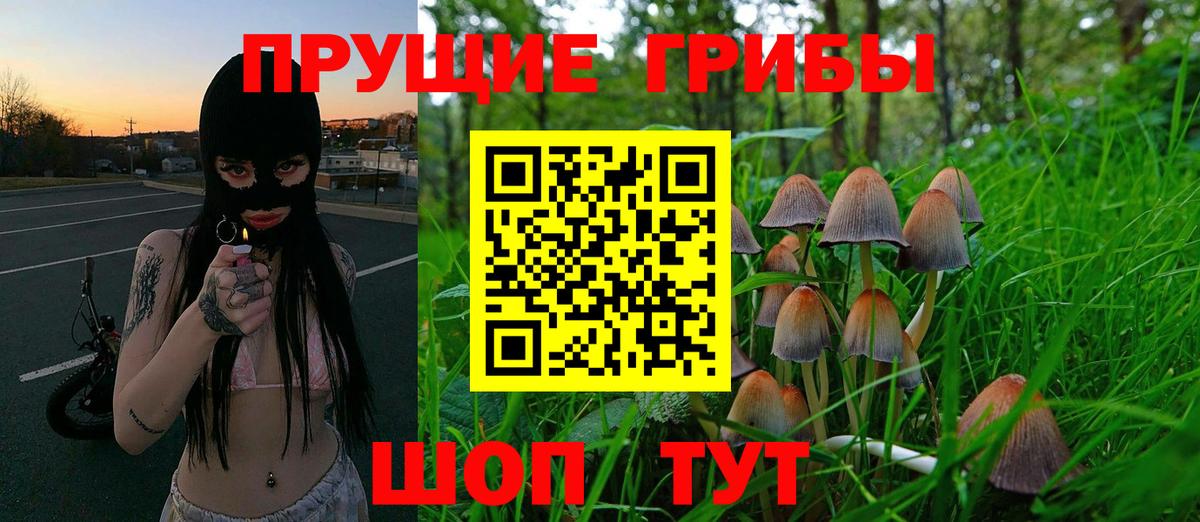 Ногинск  Галлюциногенные грибы мицелий  что такое   Вход с VPN 